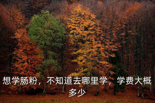 深圳哪里教做腸粉要多少錢學費,學做腸粉需要多少學費