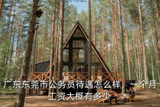 廣東東莞虎門輔警漲多少工資,廣東東莞市公務(wù)員待遇怎么樣