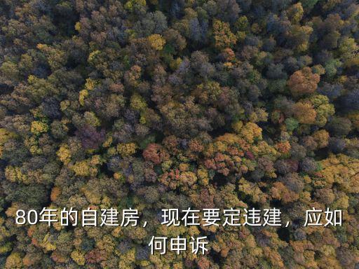 深圳自建房違建怎么辦,現在要定違建