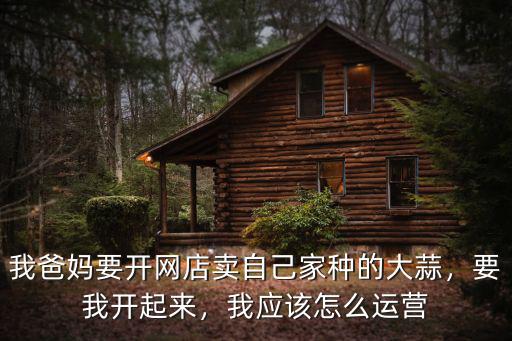 佛山網店運營怎么開,我應該怎么運營