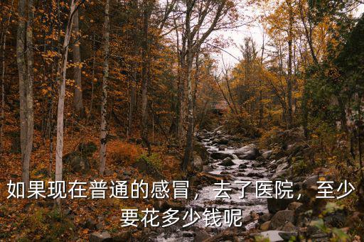 廣州看感冒發燒要多少錢,上班期間感冒發燒