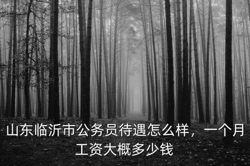 山東臨沂市公務員待遇怎么樣，一個月工資大概多少錢