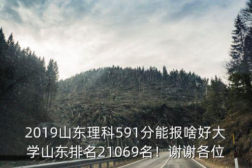 山東理科上211排多少名,山東排名21069名