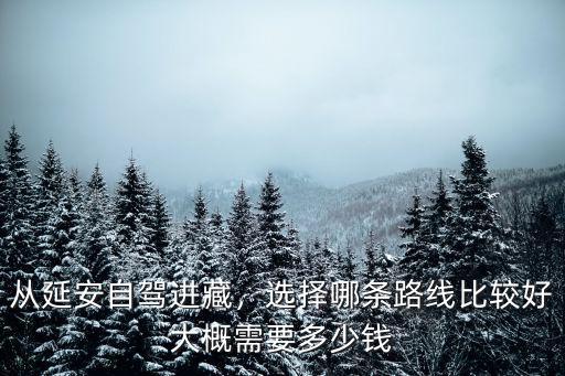 從延安自駕進藏，選擇哪條路線比較好大概需要多少錢
