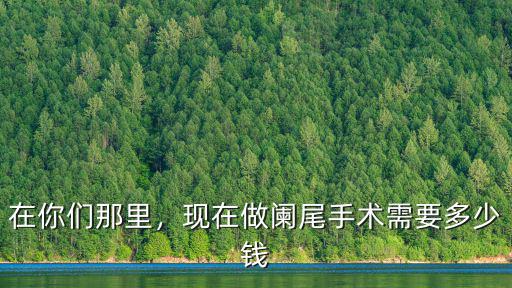 在你們那里，現在做闌尾手術需要多少錢
