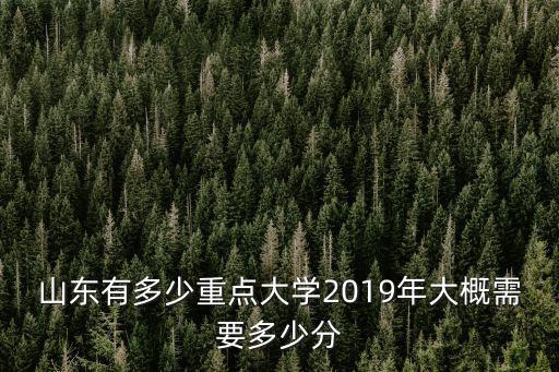 山東全省大學分數排名多少,山東有多少重點大學