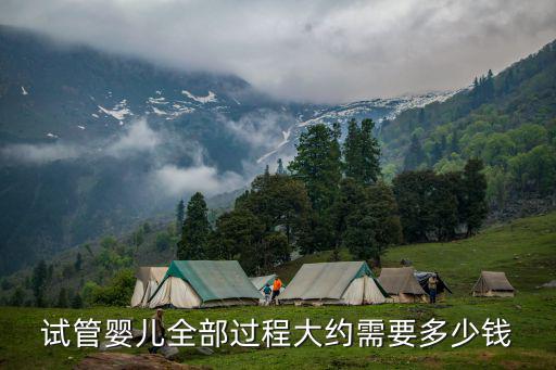 試管嬰兒全部過程大約需要多少錢