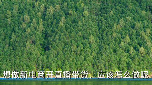 廣州電商怎么做直播,直播電商應該怎么做