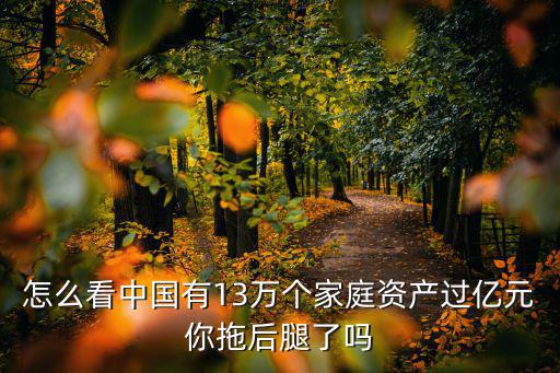 怎么看中國(guó)有13萬(wàn)個(gè)家庭資產(chǎn)過(guò)億元你拖后腿了嗎