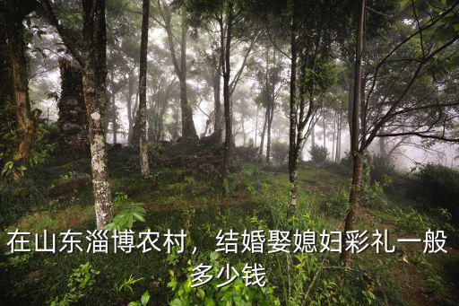 在山東淄博農(nóng)村，結(jié)婚娶媳婦彩禮一般多少錢