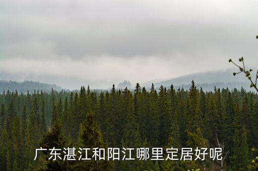 湛江哪里的涼茶好,廣東湛江和陽江哪里定居好呢