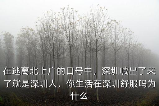 在逃離北上廣的口號中，深圳喊出了來了就是深圳人，你生活在深圳舒服嗎為什么