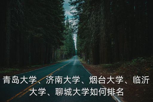 聊城多少個大學,聊城大學如何排名