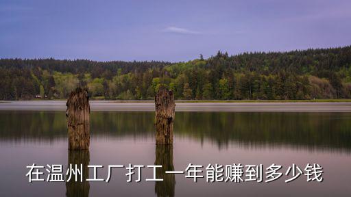 在溫州工廠打工一年能賺到多少錢(qián)