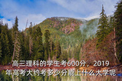 棗莊2019高考600分有多少學生,2019年高考大約考多少分