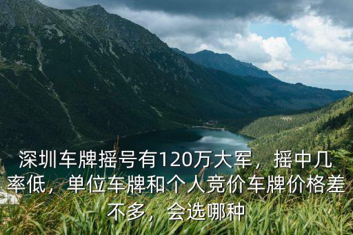 深圳競價(jià)車牌改搖號怎么改,深圳車牌是怎么競價(jià)的