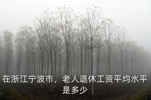 寧波市人口大約有多少錢,在浙江寧波市