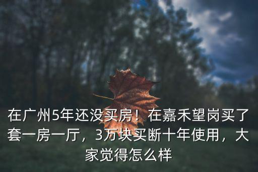 廣州租嘉禾望崗怎么樣,廣州嘉禾望崗發展的怎么樣