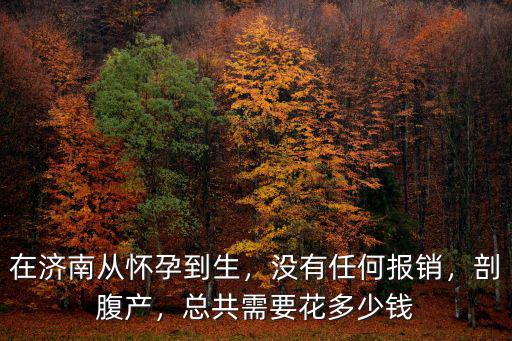 在濟南從懷孕到生，沒有任何報銷，剖腹產，總共需要花多少錢
