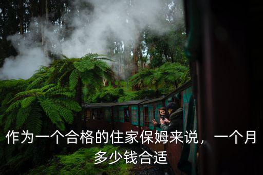 臨沂住家保姆一月多少錢,作為一個合格的住家保姆來說