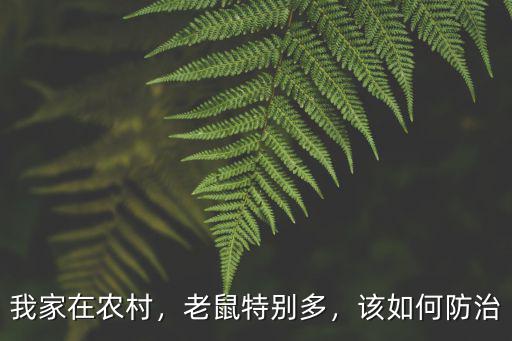 湖州老鼠防治多少錢,打一針老鼠疫苗多少錢