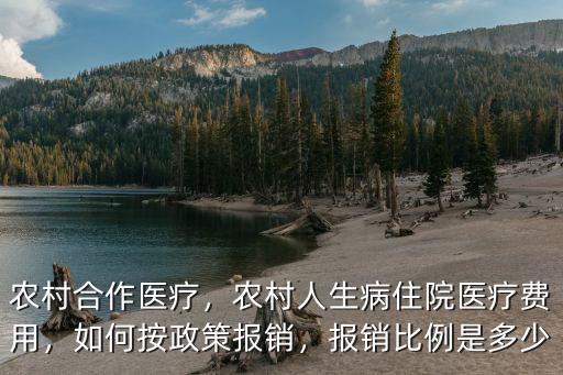 寧波農村醫院住院報銷多少費用,農村人生病住院醫療費用