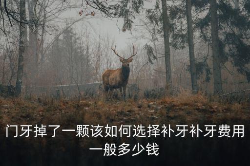 門牙掉了一顆該如何選擇補牙補牙費用一般多少錢