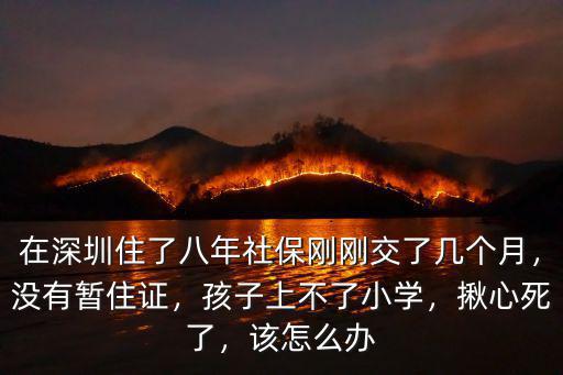 在深圳住了八年社保剛剛交了幾個月，沒有暫住證，孩子上不了小學，揪心死了，該怎么辦
