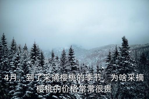 杭州櫻桃采摘多少錢一斤,果園采摘櫻桃15塊一斤