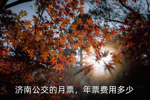在濟(jì)南辦張?jiān)缕倍嗌馘X,濟(jì)南公交的月票
