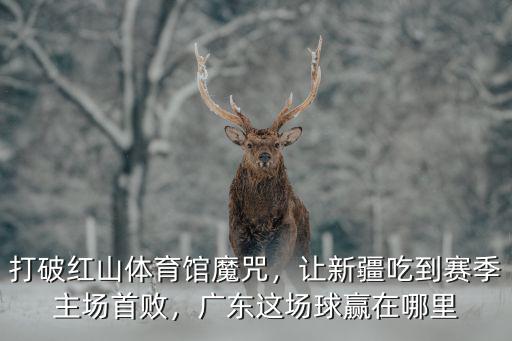 打破紅山體育館魔咒，讓新疆吃到賽季主場首敗，廣東這場球贏在哪里