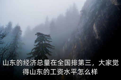 山東的經(jīng)濟(jì)總量在全國(guó)排第三，大家覺(jué)得山東的工資水平怎么樣