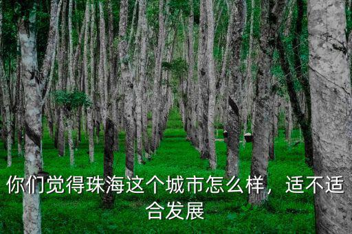 你們覺得珠海這個城市怎么樣，適不適合發(fā)展