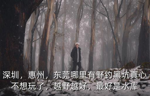 惠州哪里野釣鯽魚,惠州這時候怎么好釣魚