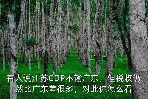 有人說江蘇GDP不輸廣東，但稅收仍然比廣東差很多，對此你怎么看
