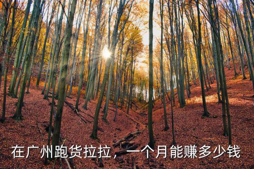 在廣州跑貨拉拉，一個月能賺多少錢