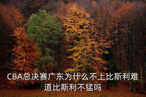 比斯利怎么不在廣東了,比斯利被廣東隊(duì)放棄了嗎
