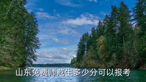山東女子學院總分多少,山東女子學院怎么樣