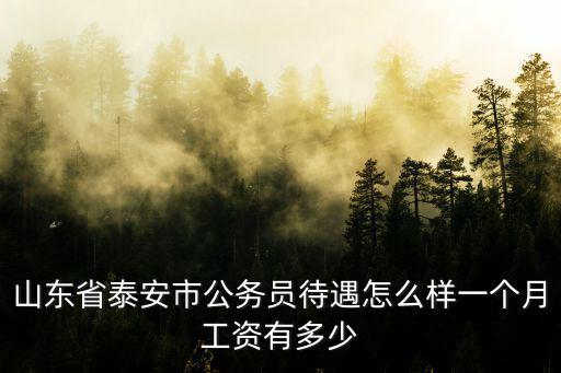 山東省泰安市公務(wù)員待遇怎么樣一個月工資有多少