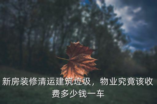深圳東門建筑垃圾倒一車多少錢,新房裝修清運建筑垃圾