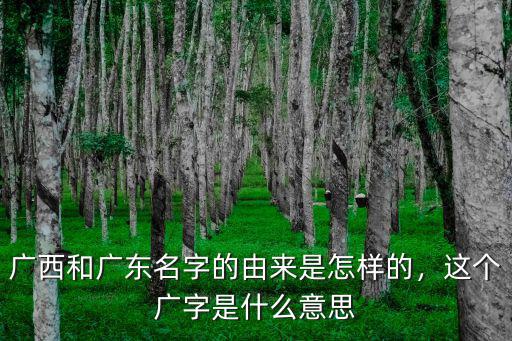 廣東清補(bǔ)涼的起源于哪里,哪里的清補(bǔ)涼好吃