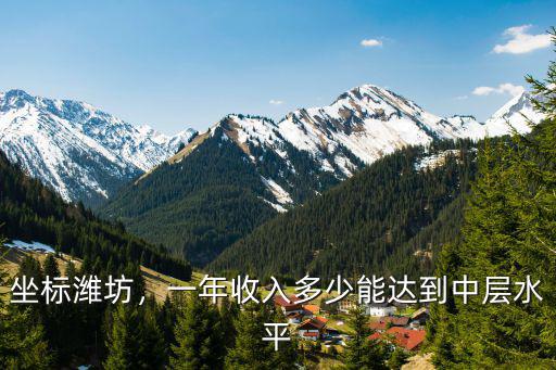 坐標(biāo)濰坊，一年收入多少能達(dá)到中層水平