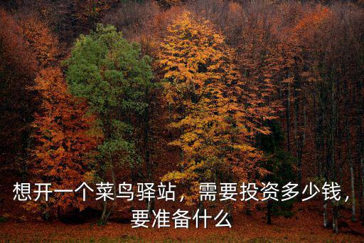 想開一個菜鳥驛站，需要投資多少錢，要準備什么
