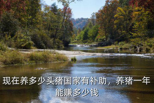 現在養多少頭豬國家有補助，養豬一年能賺多少錢