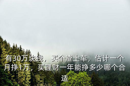 有30萬(wàn)塊錢，買個(gè)渣土車，估計(jì)一個(gè)月掙1萬(wàn)，買理財(cái)一年能掙多少哪個(gè)合適