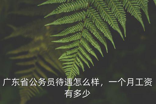 深圳市公務(wù)員工資多少一個月,廣東省公務(wù)員待遇怎么樣