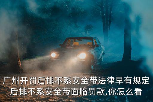 廣州開罰后排不系安全帶法律早有規定后排不系安全帶面臨罰款,你怎么看