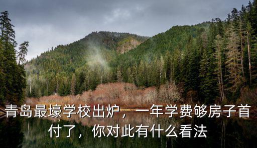 青島白珊小學一年學費多少錢,青島最壕學校出爐