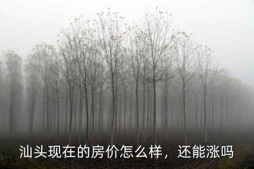 汕頭寶能地產怎么樣,汕頭現在的房價怎么樣