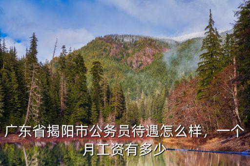 廣東省揭陽市公務員待遇怎么樣，一個月工資有多少